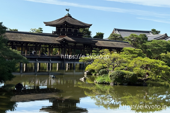 平安神宮・神苑無料公開に行ってきました！臥龍橋や泰平閣を満喫