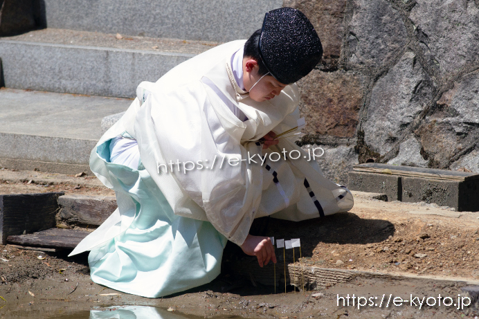 水口播種祭 神田に斎串を立てる様子