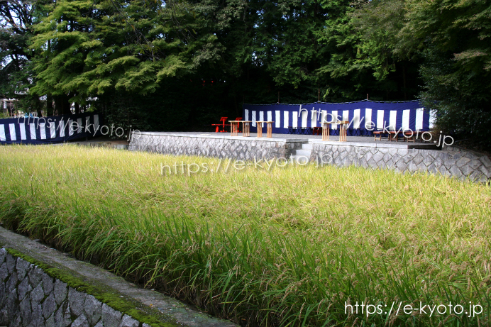 伏見稲荷大社の神田