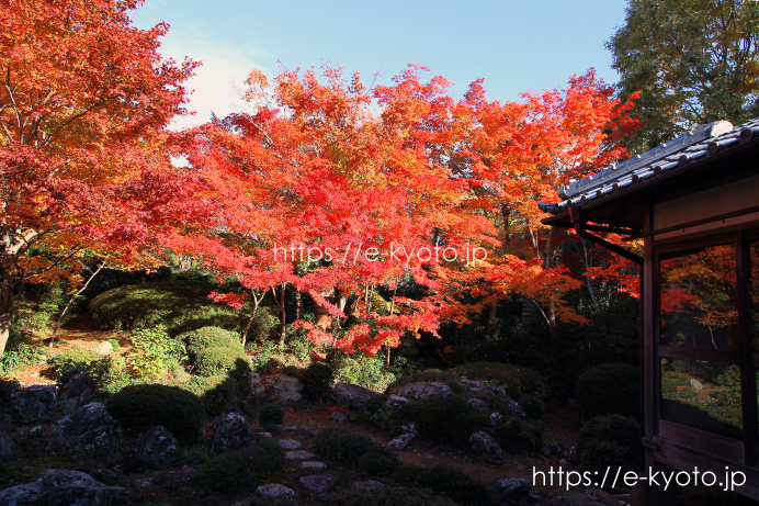 鶴亀庭園