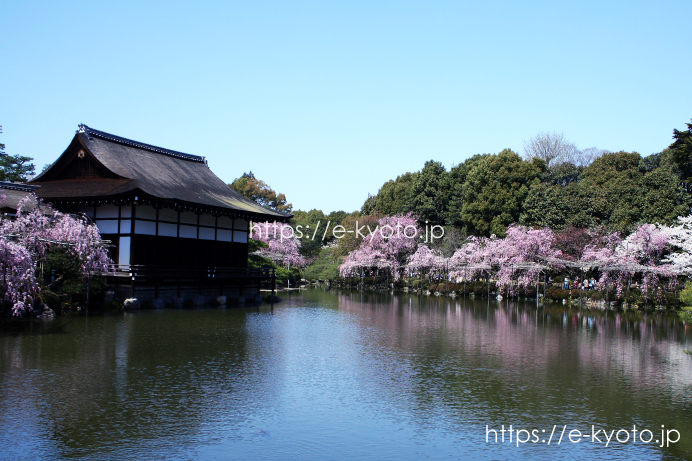 桜と尚美館