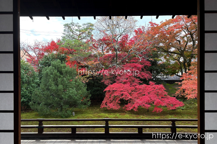 本堂庭園の紅葉