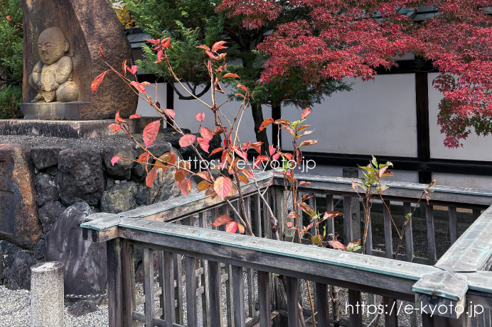人形塚横の桜の木