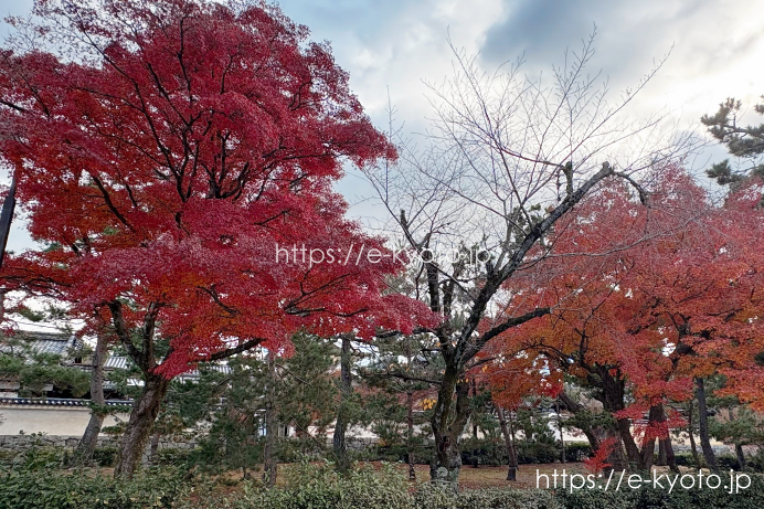 建仁寺 参道と紅葉 2025