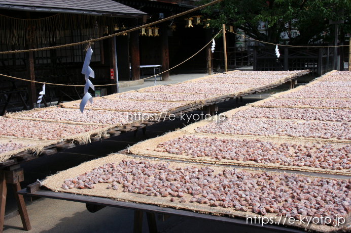 北野天満宮 土用干し