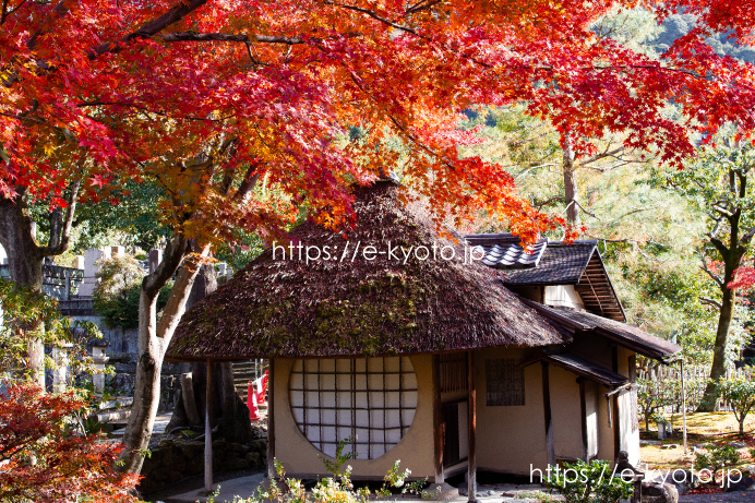 遺芳庵