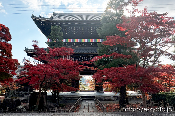 金戒光明寺の紅葉