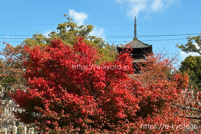 三重塔と紅葉