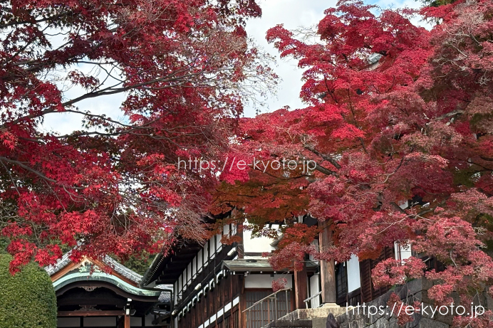 阿弥陀堂横の紅葉