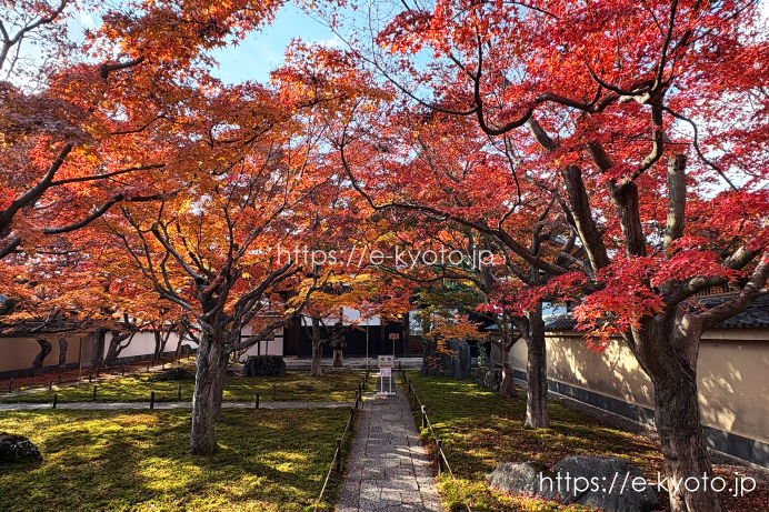 黄梅院 庫裏前の庭園と紅葉 2025