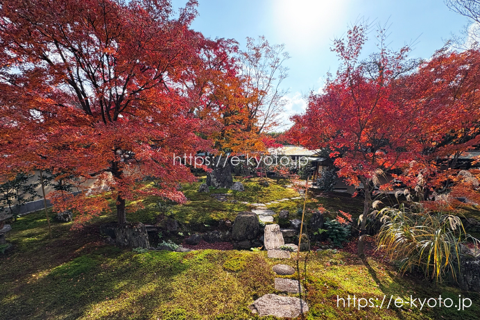 黄梅院 直中庭と紅葉 2025