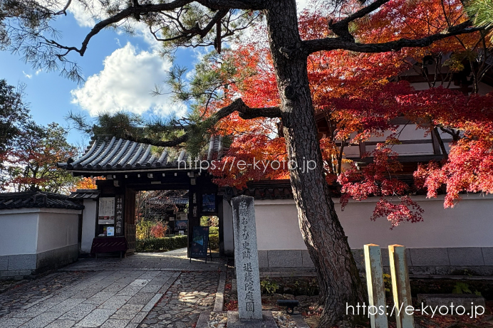 退蔵院 山門と紅葉 2025
