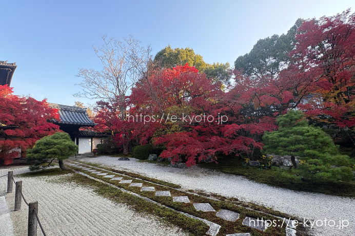 方丈前庭(東庭)「淵黙庭」と紅葉