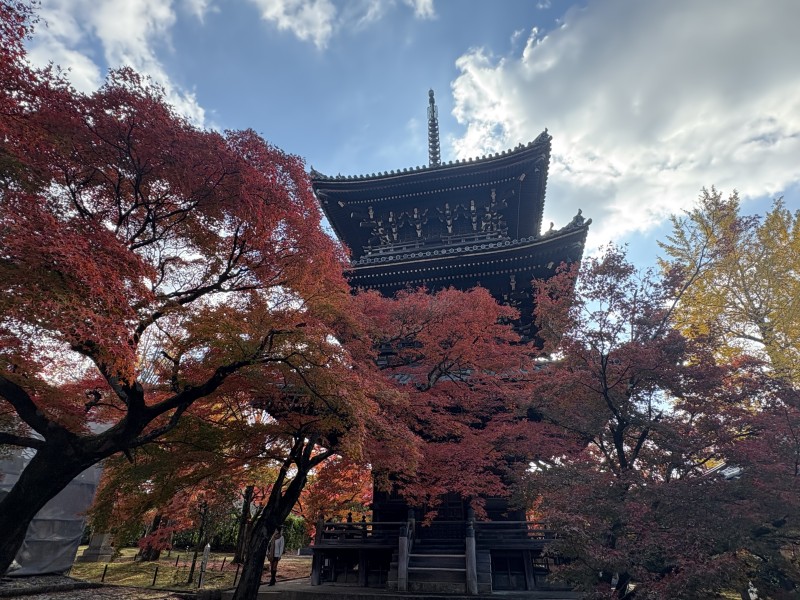口コミ: 今日真如堂行ってきました。紅葉が見ごろで綺麗でした😍